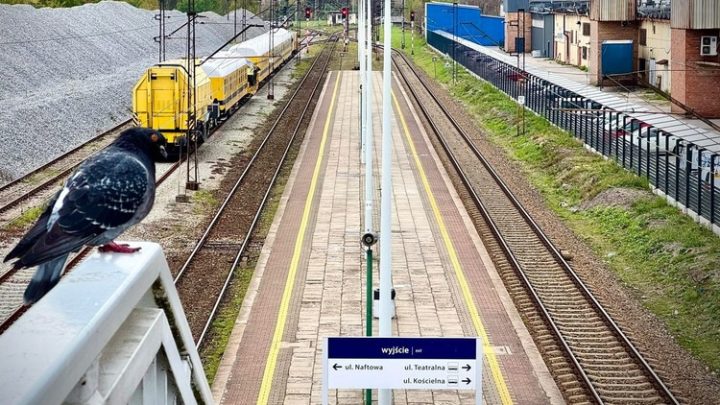 Rusza przebudowa stacji kolejowej Sosnowiec Południowy.