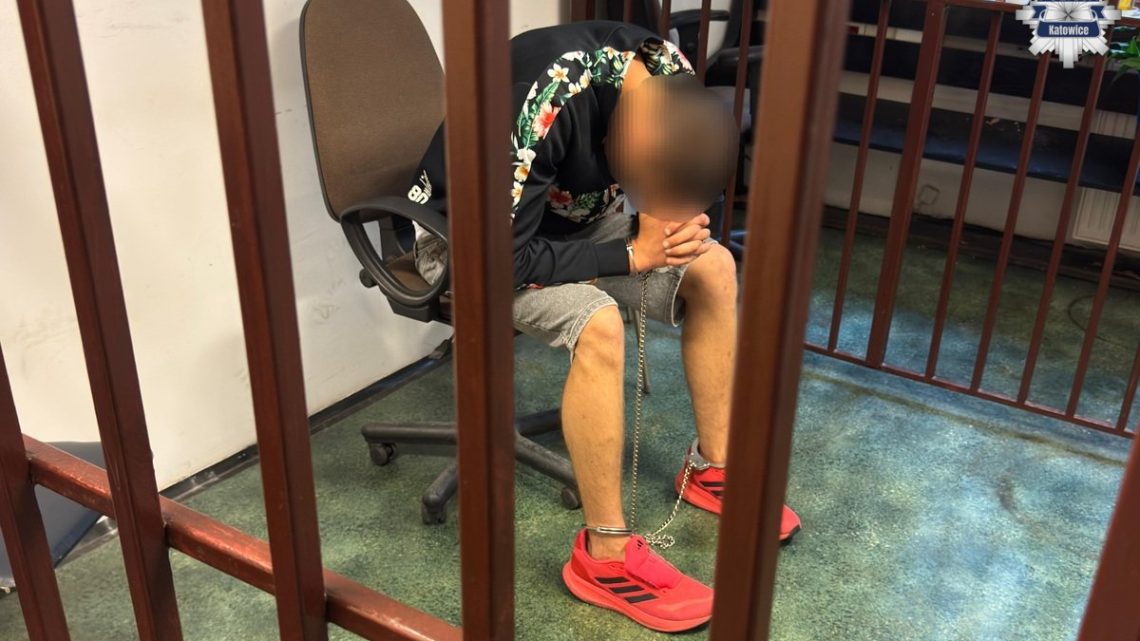 26-latek w rękach policji. Podejrzany o brutalny napad na seniorkę.