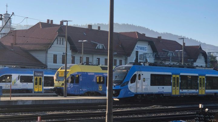 Śmiertelne potrącenie przez pociąg w Wilkowicach. Wstrzymano ruch kolejowy.